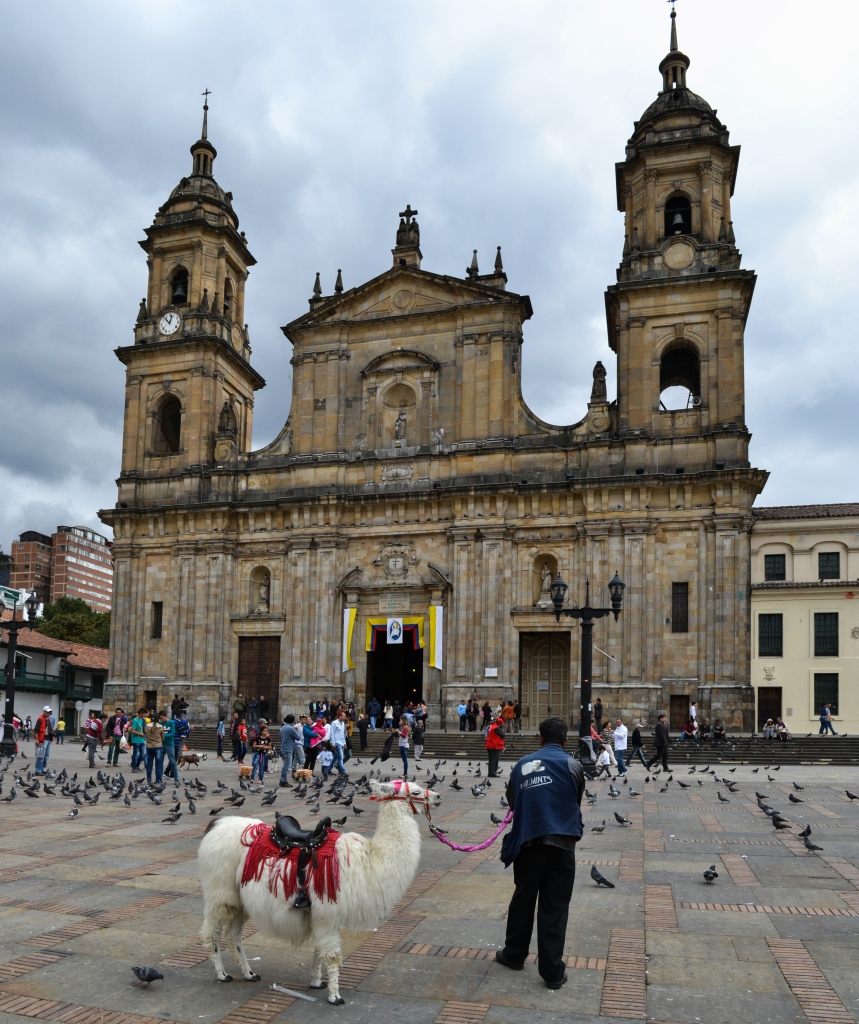 Llama and the cathedral