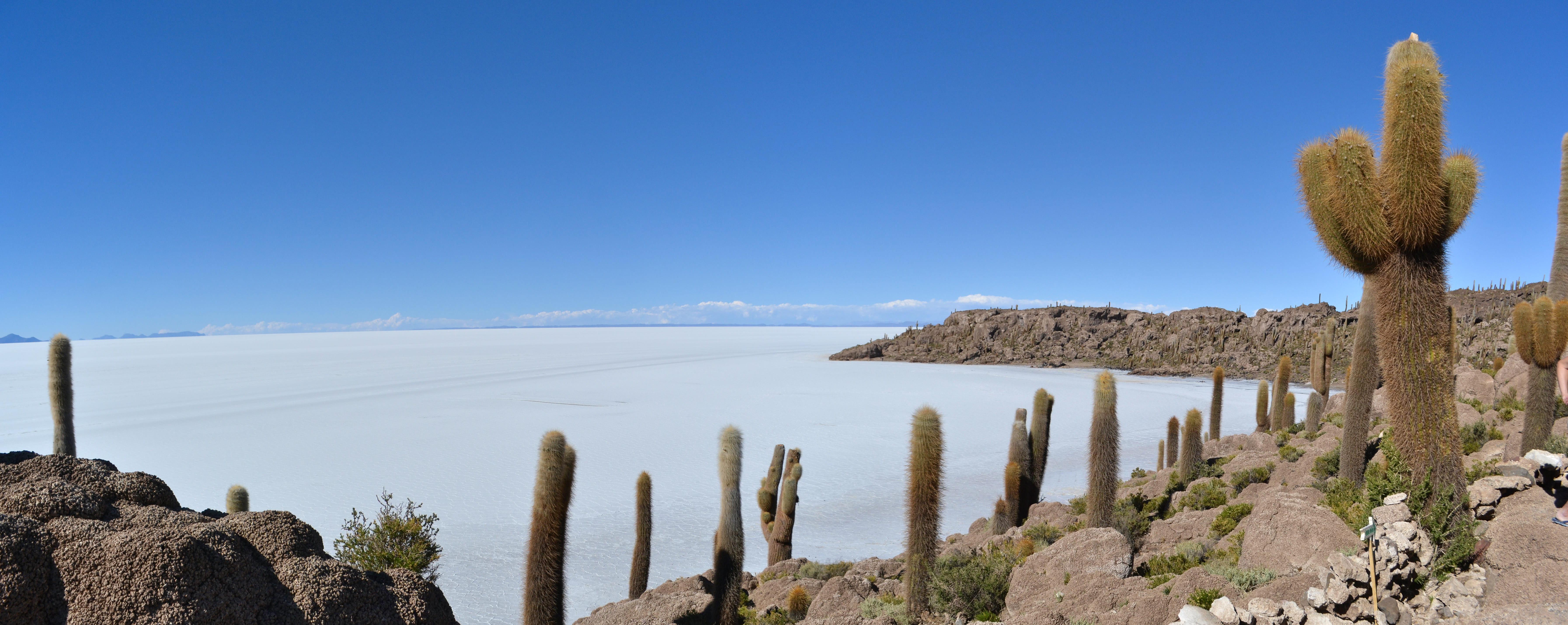 Salar de Uyuni and Isla Incahuasi